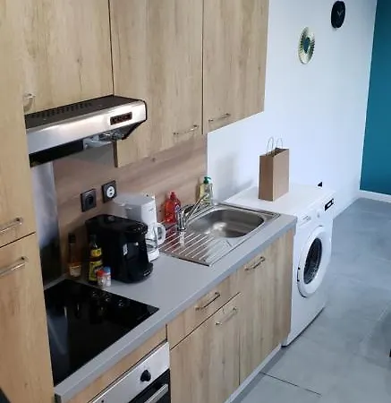 公寓 La Mine D'or - Wifi - Parking Prive 朗斯